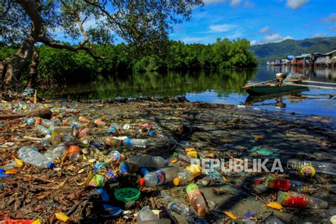 Teluk Youtefa Jayapura Tercemar Sampah Plastik Republika Online