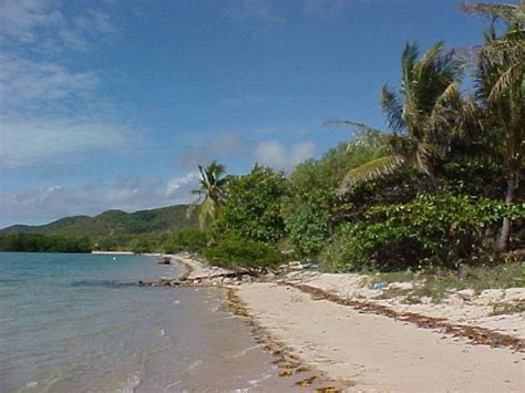 Prince of Wales Island (Queensland) - Alchetron, the free social ...