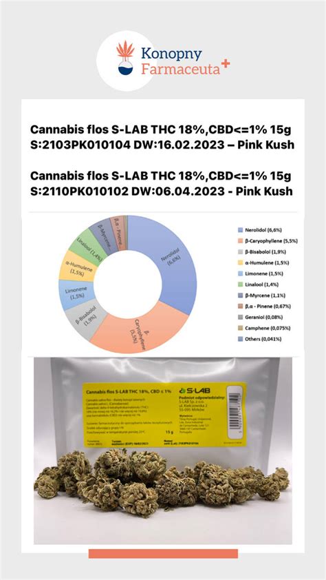Medyczna Marihuana Od S Lab Trzy Odmiany Zarejestrowane Jako Jeden