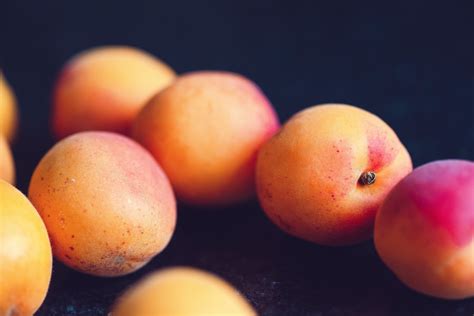 Free Images Peach Fruit European Plum Still Life Photography