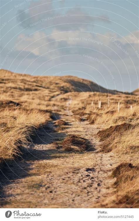 D Nenlandschaft In D Nemark Ein Lizenzfreies Stock Foto Von Photocase