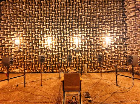 Anechoic Chamber Raccidentalwesanderson