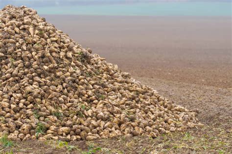 Mindestbodenbedeckung Frist endet An diese Fristen müssen Landwirte im