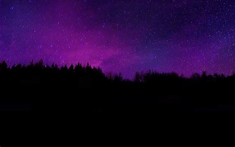 Trees Wallpaper 4K, Silhouette, Purple sky