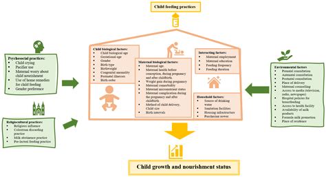 Nutrients Free Full Text Association Of Infant Feeding Indicators And Infant Feeding