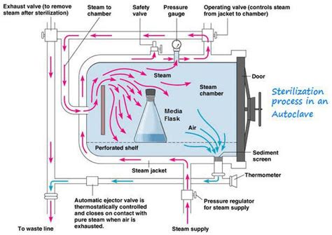 Autoclaving Medizzy