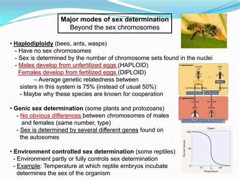 Genetics lecture 2 pw_2012 | PPT