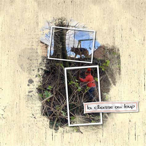 Mini Loup Au Cha Teau 5