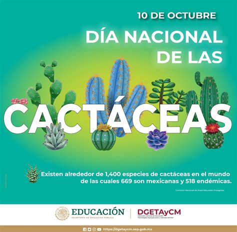 DGETAyCM on Twitter 10 de octubre Día Nacional de las Cactáceas