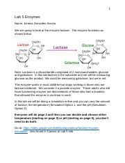 Lab 5 Enzymes 1 Docx 1 Lab 5 Enzymes Name Jimena Gonzalez Acosta We