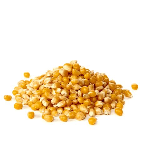popcorn kernels  roberts ferry gourmet
