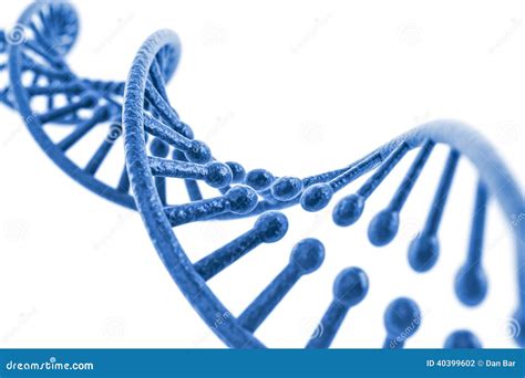 D Render Of Dna Structure Stock Illustration Illustration Of Atom