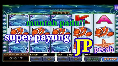 Super Padu DOLPHIN REEF Sangkut Free Spin JP Muntah Myyearonyoutube