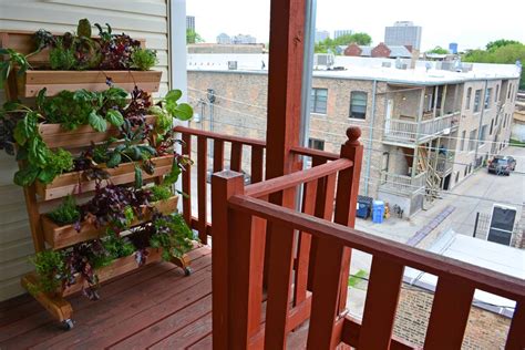 Growing Vegetables On Balcony Garden Garden Design Ideas