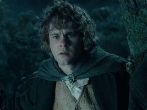 Merry Brandybuck Lotr Movies Lotr Lord Of The Rings