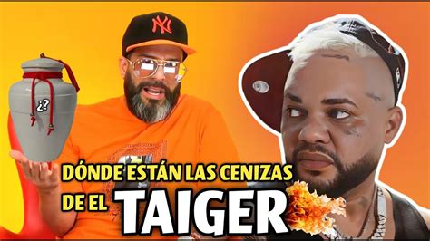 D Nde Est N Las Cenizas De El Taiger Jorge Jr Comparte Detalles Del