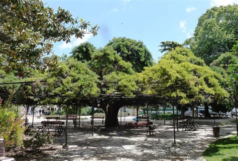 Jardim Do Príncipe Real Lisbon Shopping