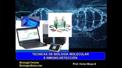 Técnicas De Biología Molecular E Inmunodetección Youtube