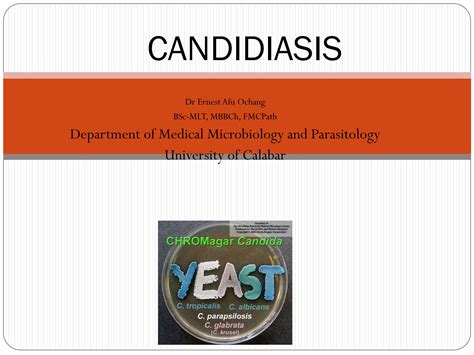 SOLUTION Candidiasis Studypool