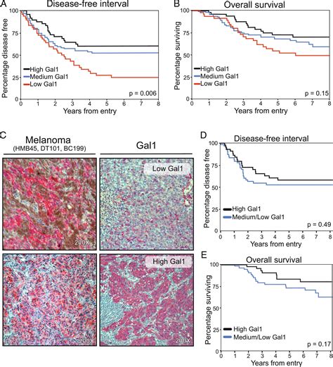 Circulating Galectin Delineates Response To Bevacizumab In Melanoma