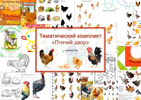Тематический комплект | Домашние птицы, Лэпбук, Детские поделки
