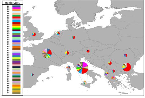 Geographic Distribution Of The 53 Haplotypes Among The 14 Sampled