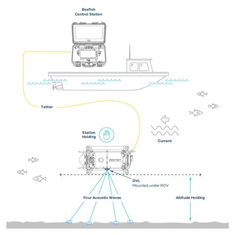 Dvl Rov Accessories