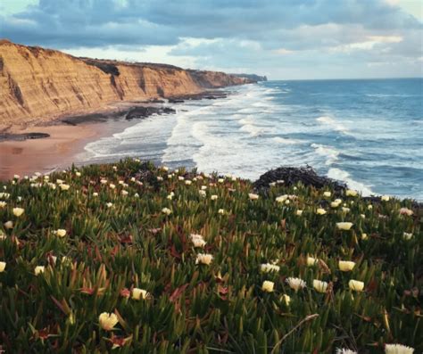 Renamonkalou Praia Da Ursa Sintra Luis Maia