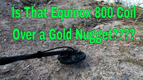 Equinox 800 Metal Detector Gold And Golden Memories Youtube