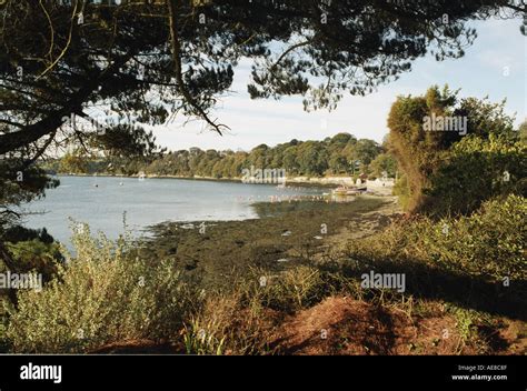 A beach in Cornwall England UK Stock Photo - Alamy