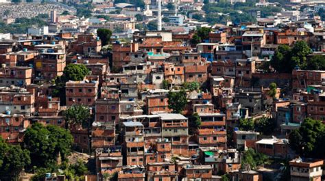 In Brazil S Favelas Green Roofs Might Help Relieve The Heat