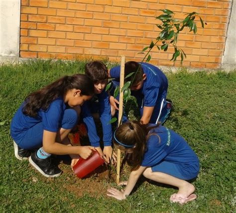 Mais De Mil Rvores J Foram Plantadas Secretaria De Meio Ambiente