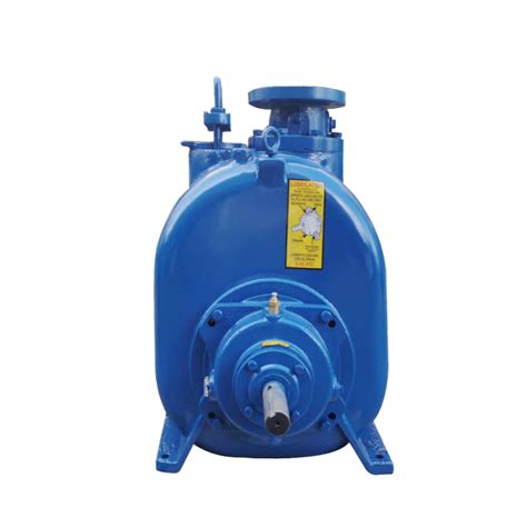 High Efficiency Centrifugal Self Priming Pump P Sewage Treatment