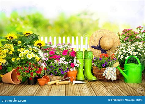 Herramientas Que Cultivan Un Huerto Y Flores En La Terraza I Foto De