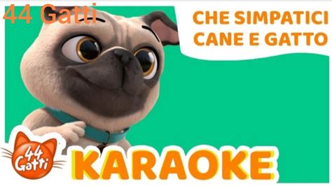 Gatti Vip Canzone Che Simpatici Cane E Gatto Karaoke