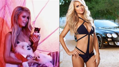 Watch A Shirtless Paris Hilton Play With Puppies In Love Advent Calendar Bonus Footage Maxim