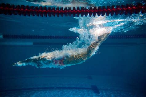 Diving Into Water Professional Female Swimmer Training In Swimming