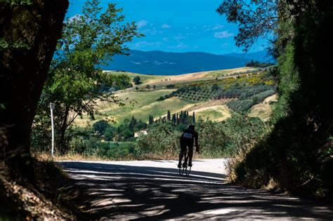 EROICA MONTALCINO 2023 DOMANI 2500 CICLISTI AL VIA SU CINQUE PERCORSI