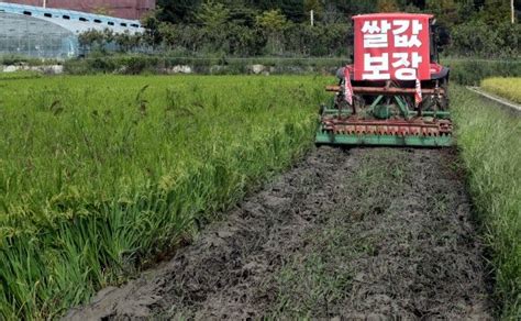 윤 대통령 양곡관리법 개정안 거부권 행사양곡관리법 A To Z 네이트 뉴스