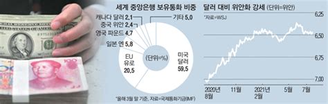 위안화 쌓는 각국 중앙은행달러패권 흔드나 매일경제