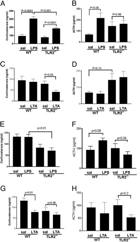 Plasma Corticosterone And ACTH Response After I P LPS And LTA