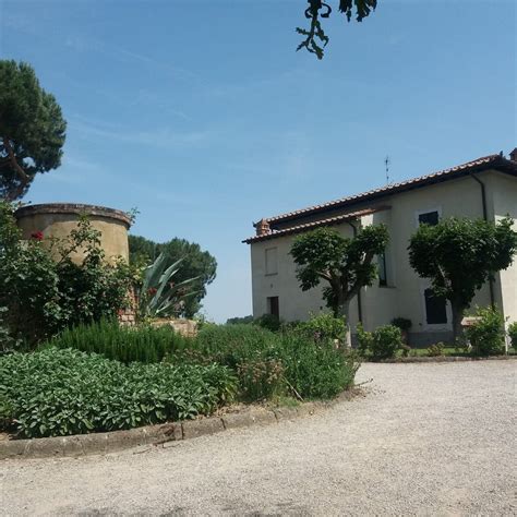 Poderi Arcangelo Winery San Gimignano Ce Quil Faut Savoir Pour