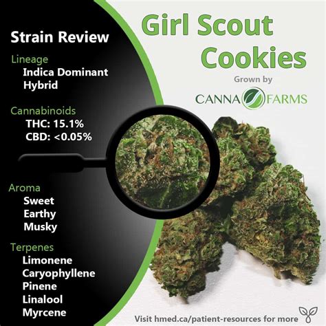 Girl Scout Cookies Weed