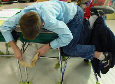 Teaching By The Sea The Most Amazing Dodecahedron Book Report Project