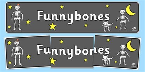 Display Banner To Support Teaching On Funnybones Bones Funny Display