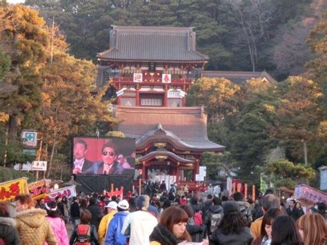 鶴岡八幡宮の正月ボタン Kurouの鎌倉メモ