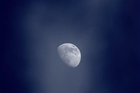 Blue Moon Wilfred Jonker Flickr