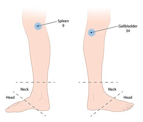 Acupuncture diagrams on Behance