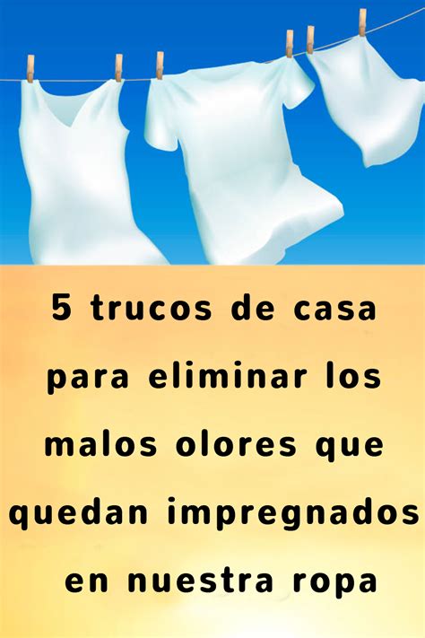 5 Trucos De Casa Para Eliminar Los Malos Olores Que Quedan Impregnados En Nuestra Ropa Artofit