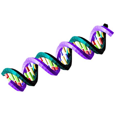 Double Stranded DNA Sequence Free SVG